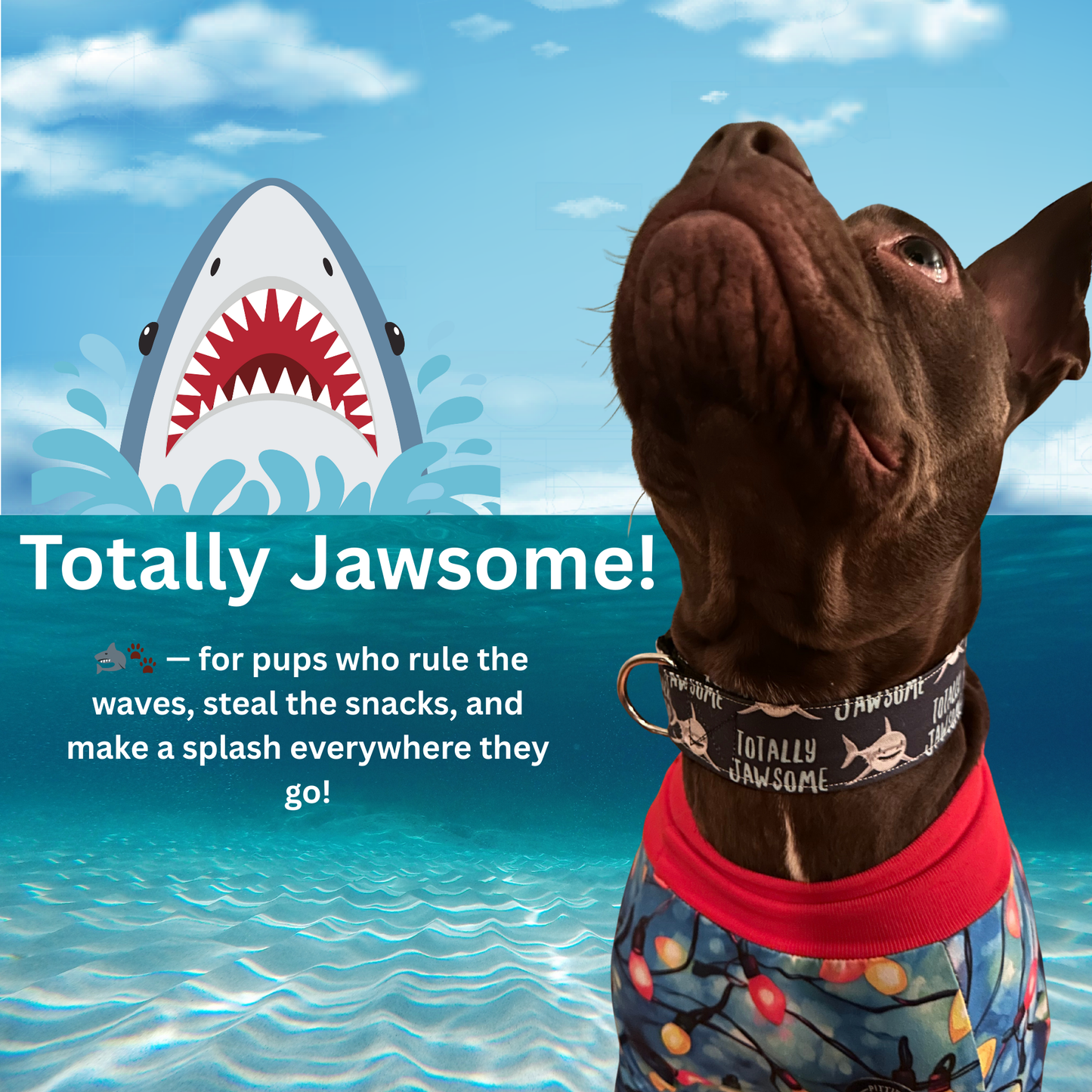 Totally Jawsome Adjustable Dog Collar