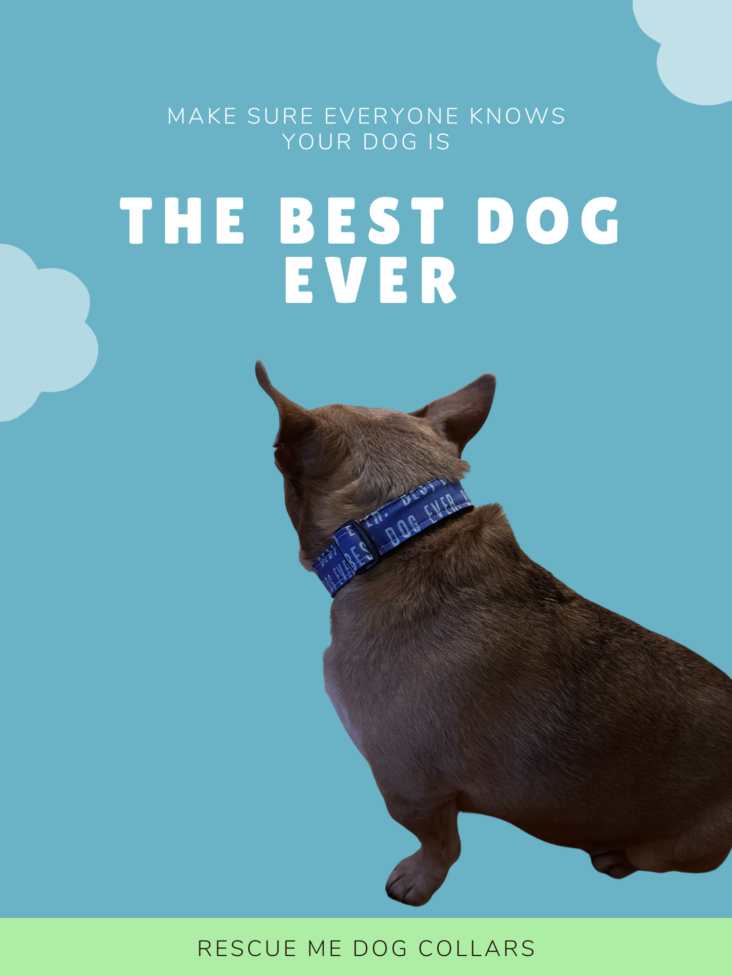 Best Dog Ever Adjustable Dog Collar